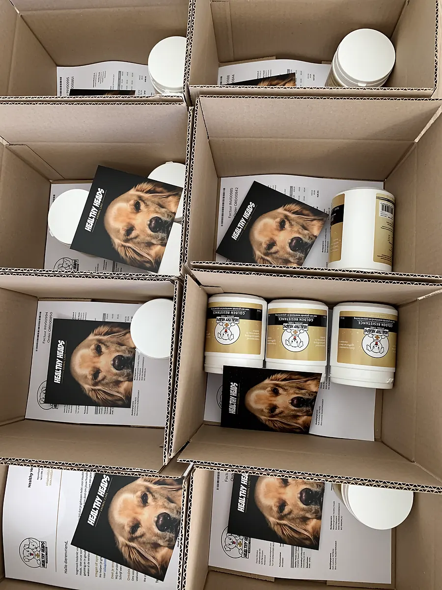 Stapels verzenddozen met Healthy Heads-bestellingen klaar voor verzending